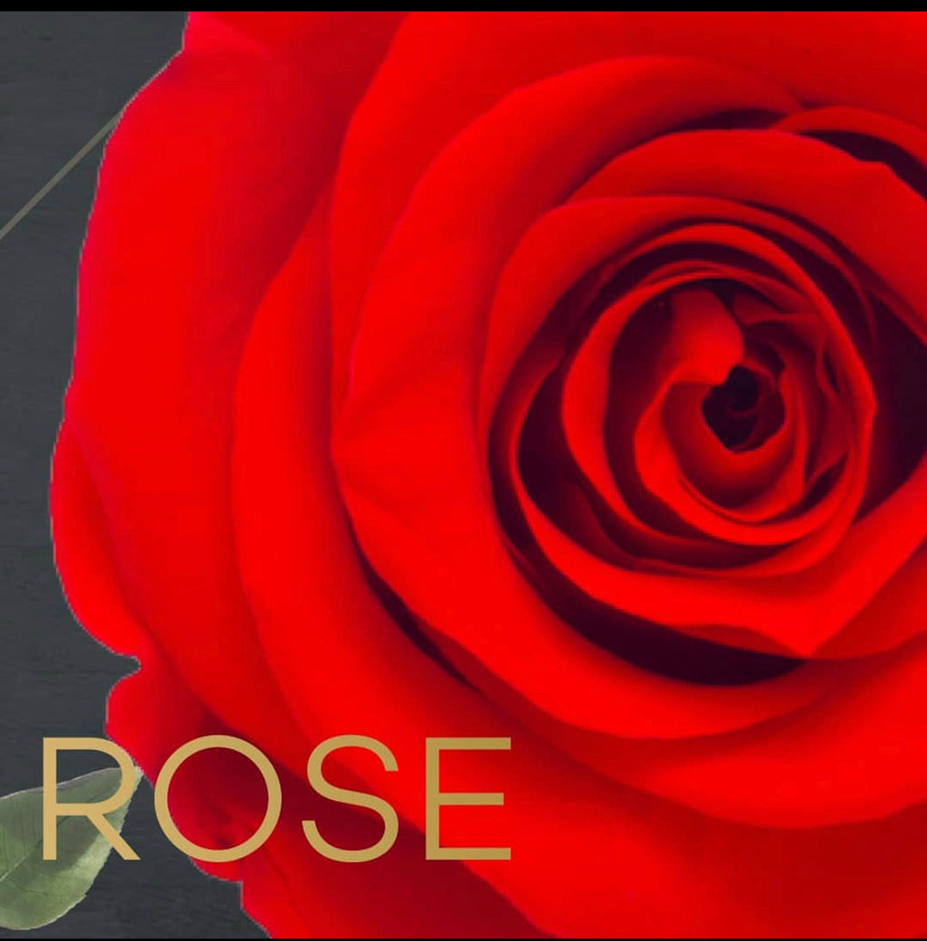 Eternal Single Roses