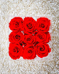 Nine Eternal Red Roses
