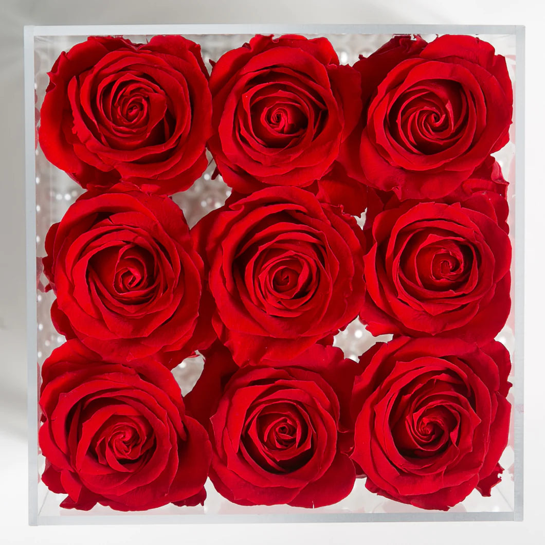 Nine Eternal Red Roses