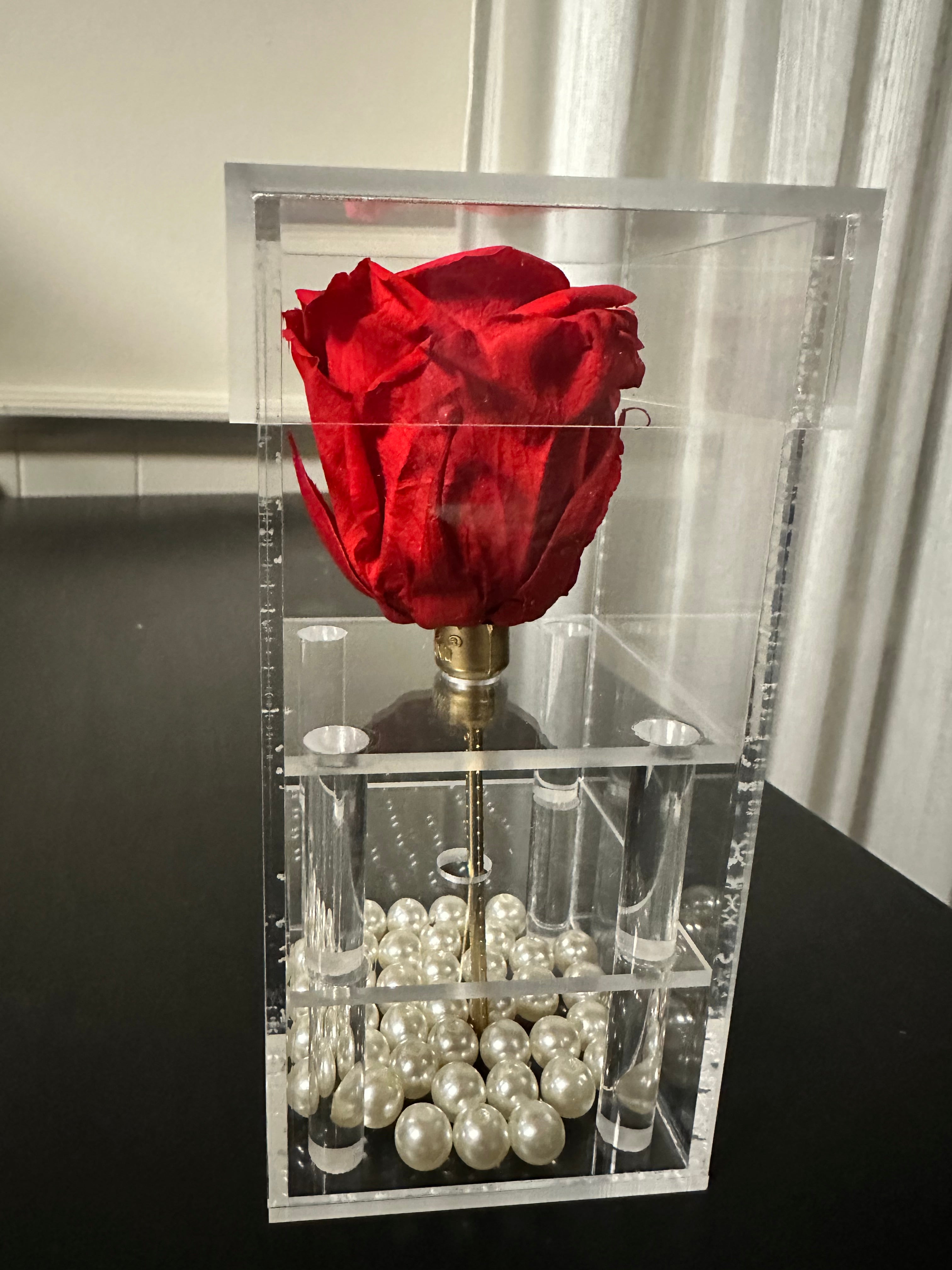 Eternal Single Roses