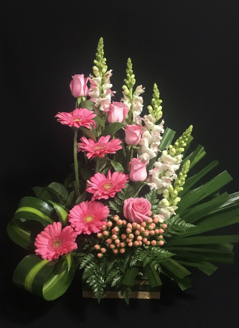 Blush Radiance