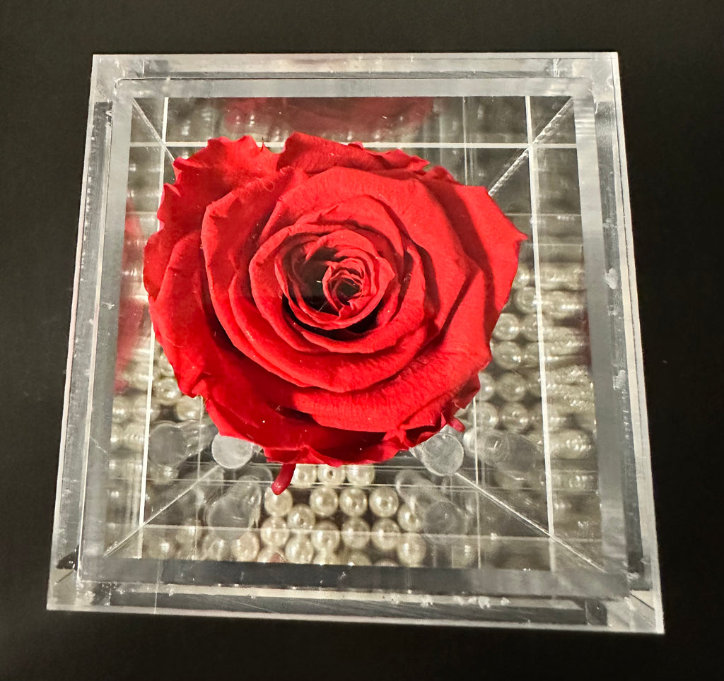 Eternal Single Roses