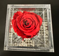 Eternal Single Roses
