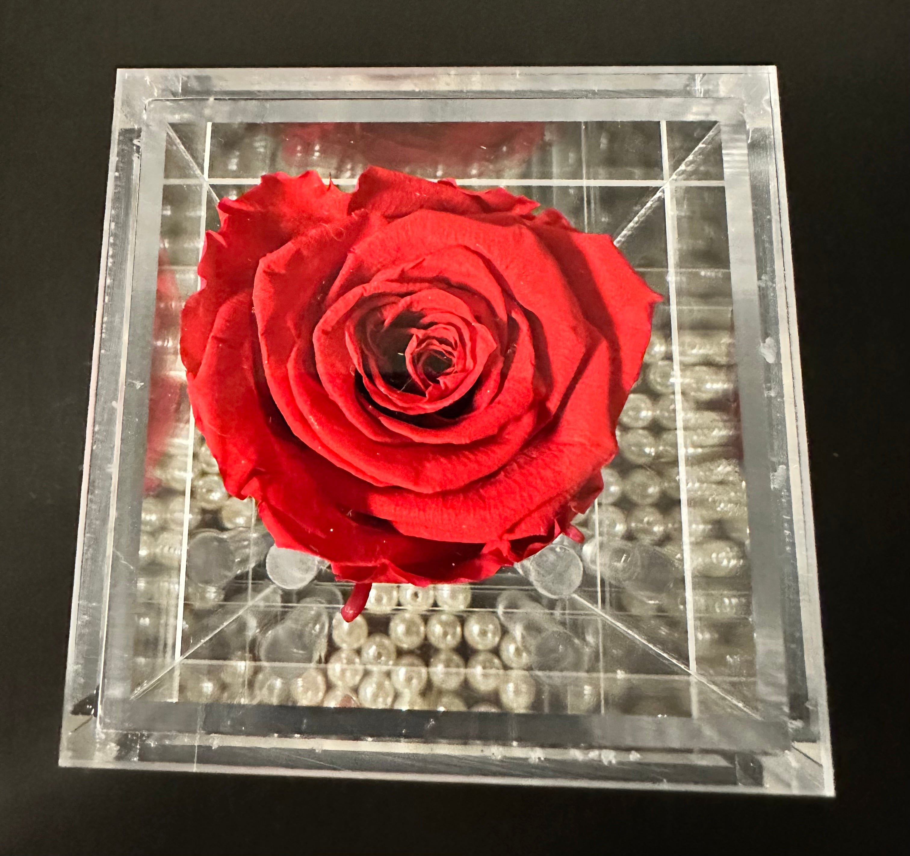Eternal Single Roses