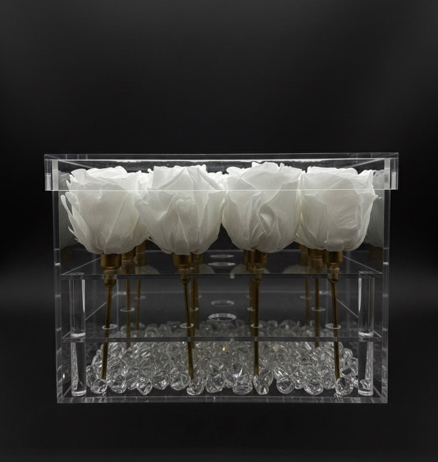 The Crystal Dozen Everlasting Roses