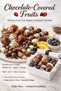 Gourmet Chocolate Fruit Mix