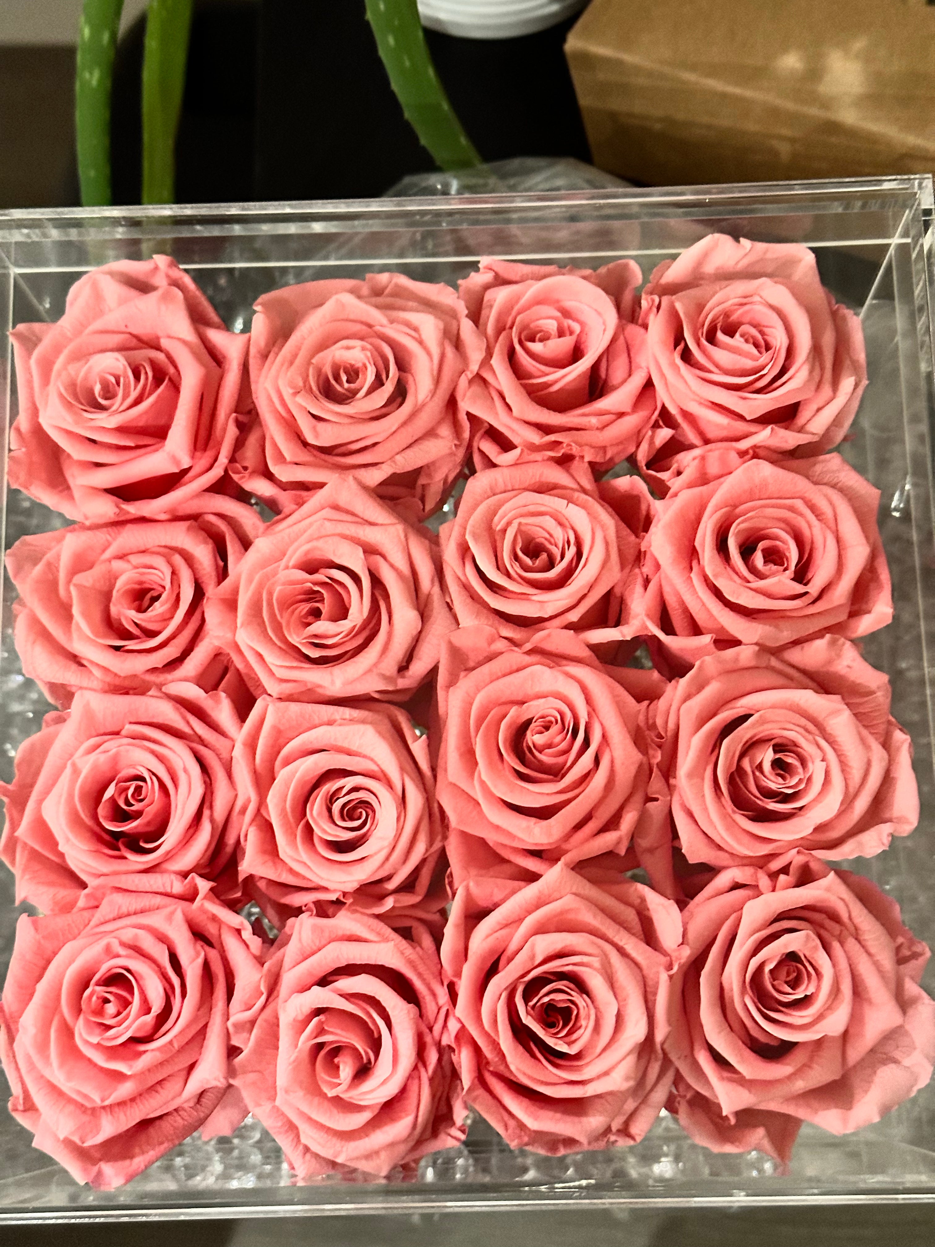 Sixteen Champagne Pink