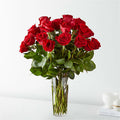 Two Dozen Red Roses