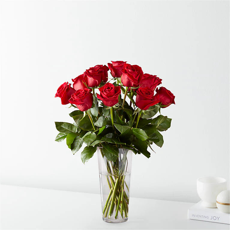 12 Red Roses