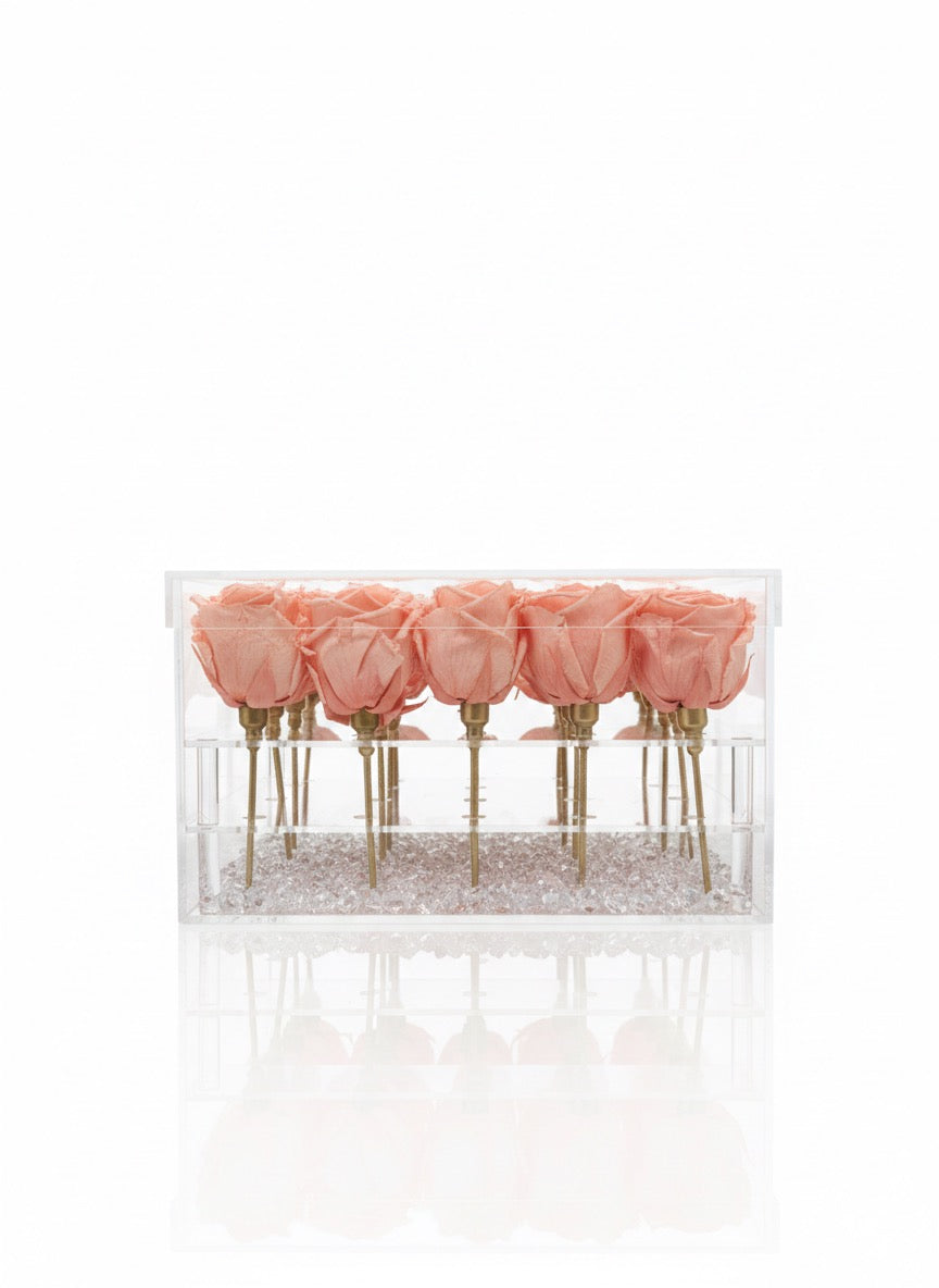 Luxury & Premium 25 Eternal Roses