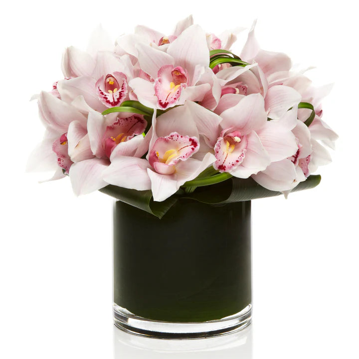 Blush Imperial